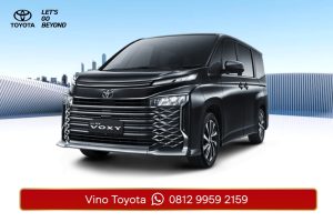 All New Voxy