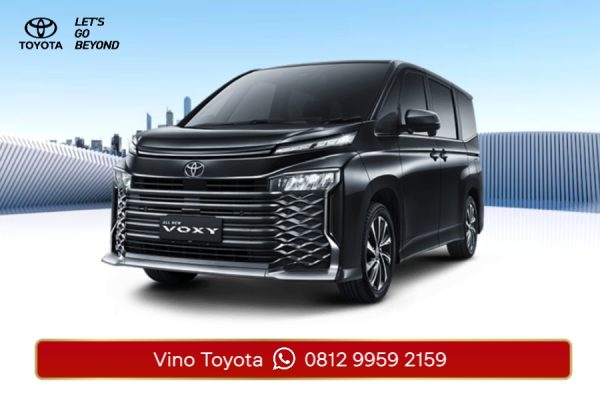 All New Voxy